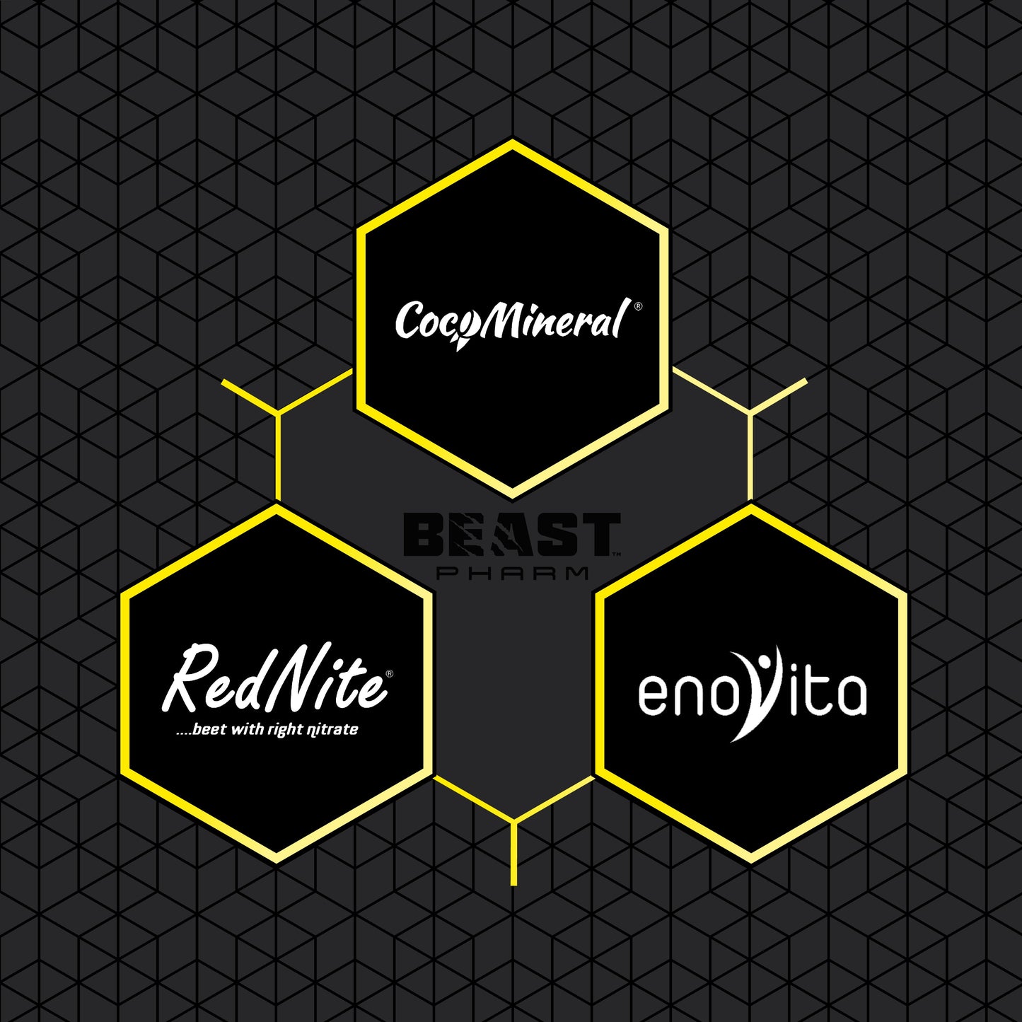 HYDRO Hydration and Electrolytes