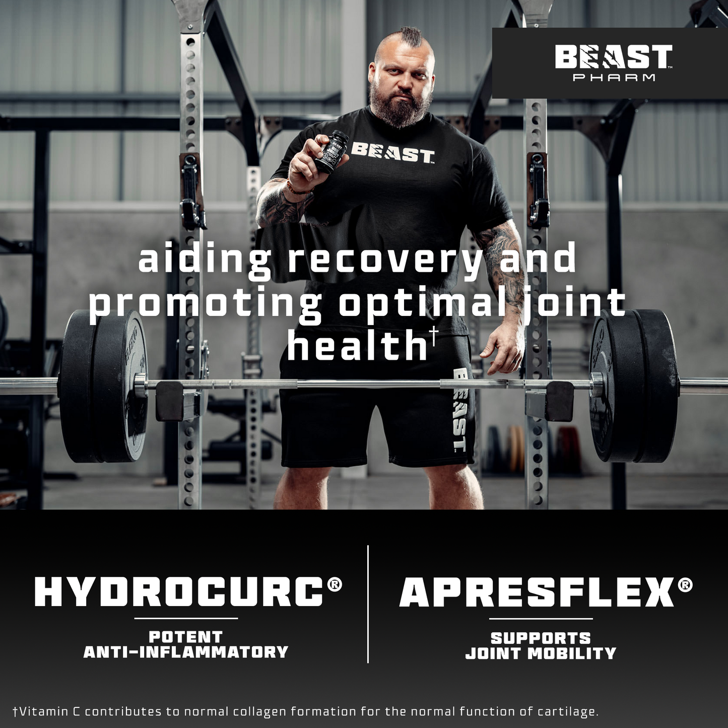 BIG JOINT - Advanced Joint Support