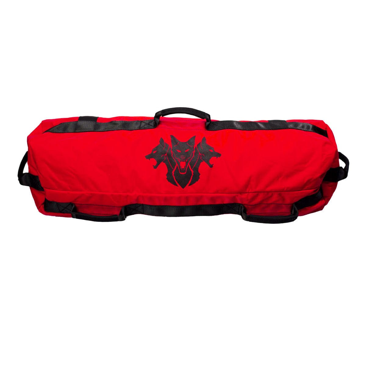 GP Training Sandbag