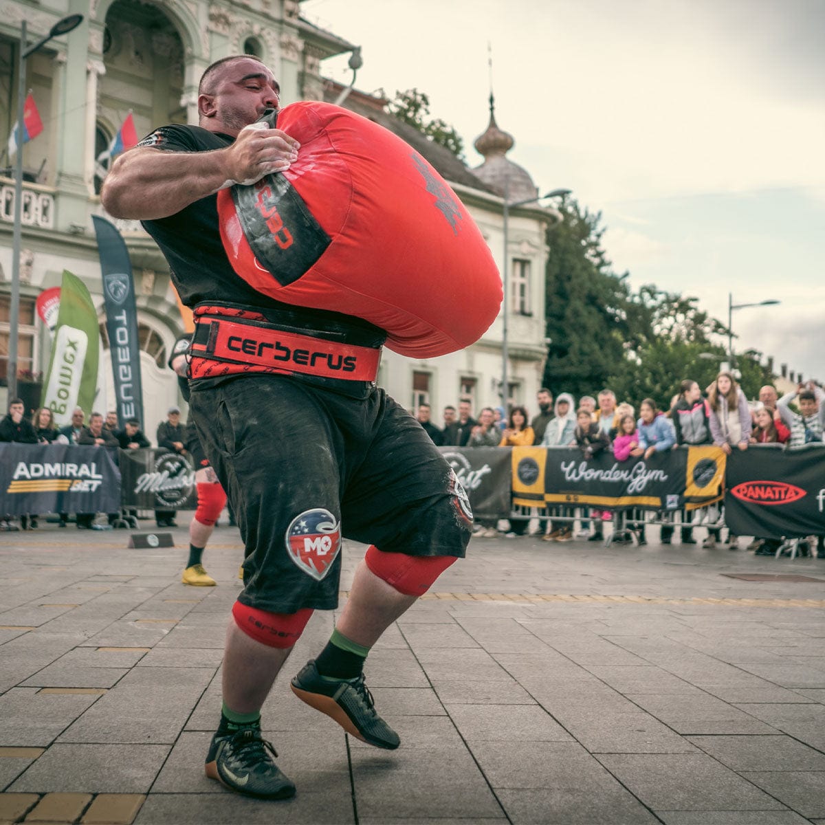 Triple-Ply Deadlift Belt